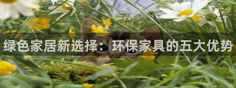 杏耀平台代理怎么赚钱快