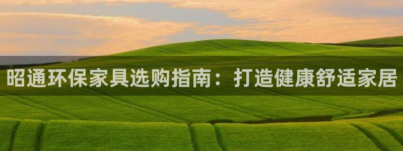 杏耀平台登陆测速