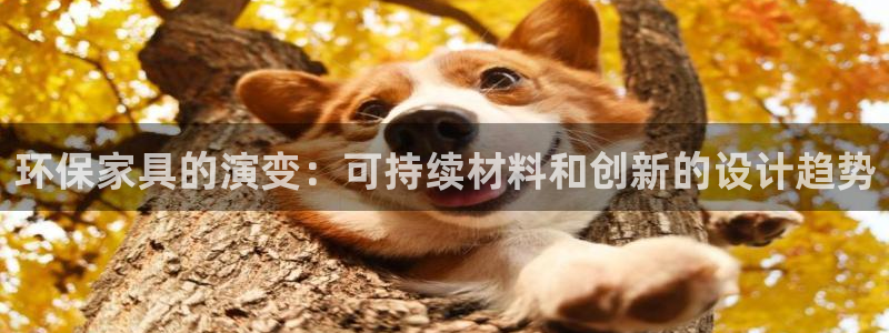 杏耀平台分红