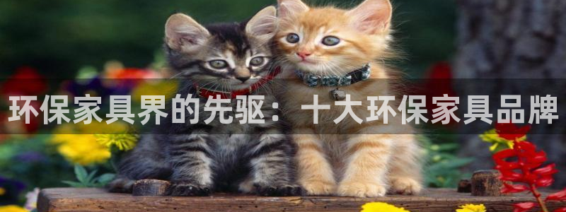 杏耀官方网