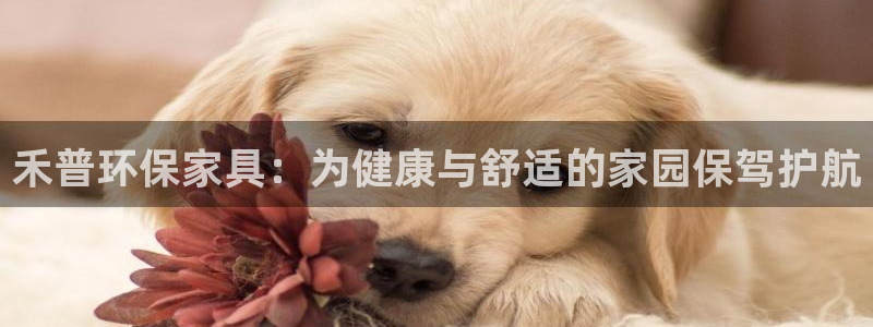 杏耀平台几年了