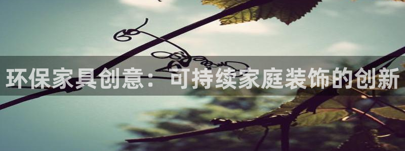 杏耀平台代理