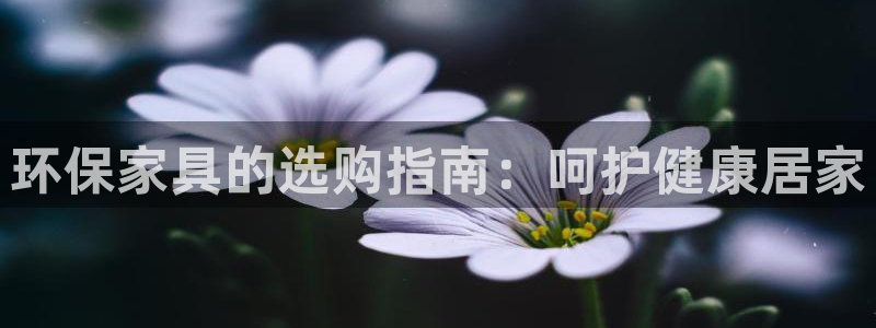 杏耀平台线路
