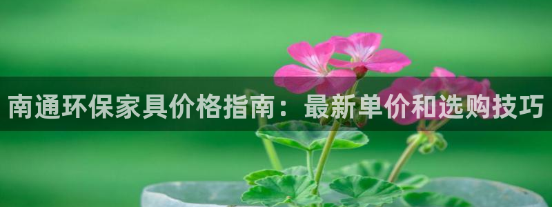 杏耀登入官网