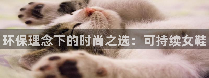 杏耀平台网页版