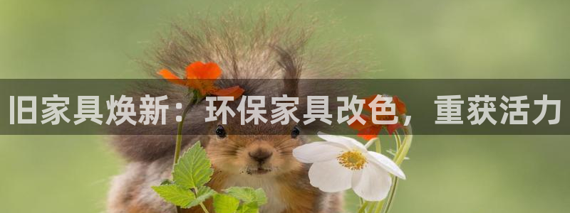 杏耀登陆网站