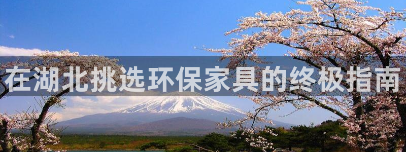 杏耀软件