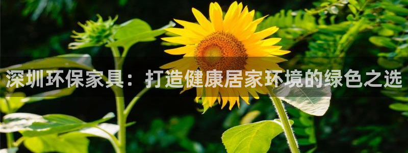杏耀平台可以提款吗