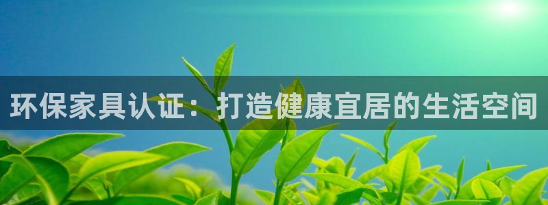 杏耀平台登陆测速：环保家具认证：打造健康宜居的生活空间