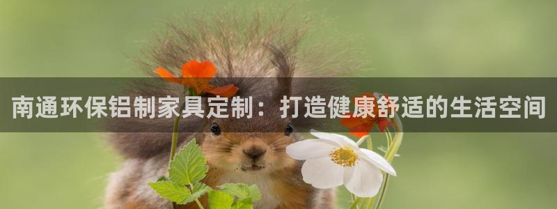杏耀登入官网：南通环保铝制家具定制：打造健康舒适的生活空间