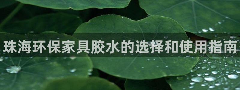 杏耀代理连接
