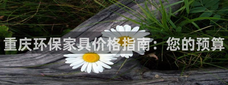 杏耀平台的专用通道：重庆环保家具价格指南：您的预算