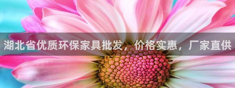 杏耀代理日工资多少