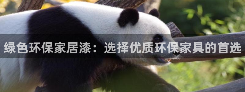杏耀注册登录：绿色环保家居漆：选择优质环保家具的首选