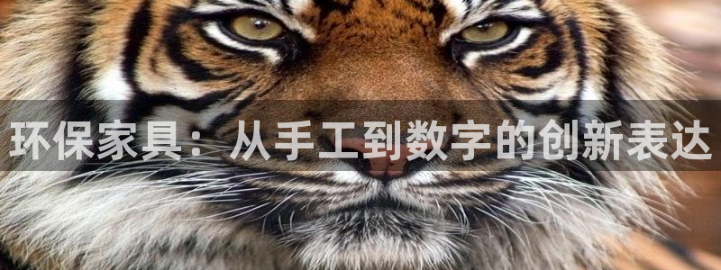 杏耀代理登录中心：环保家具：从手工到数字的创新表达