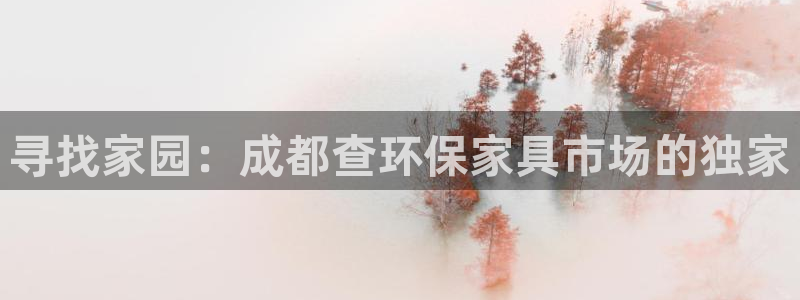 杏耀平台注册登录：寻找家园：成都查环保家具市场的独家