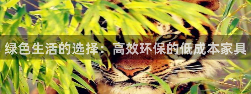 杏耀官网娱乐