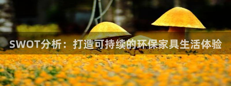 杏耀平台服务中心是干嘛的：SWOT分析：打造可持续的环保家具