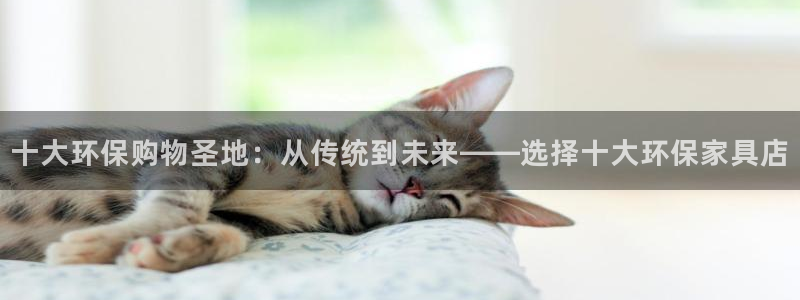 杏耀注册线路：十大环保购物圣地：从传统到未来——选择十大环保