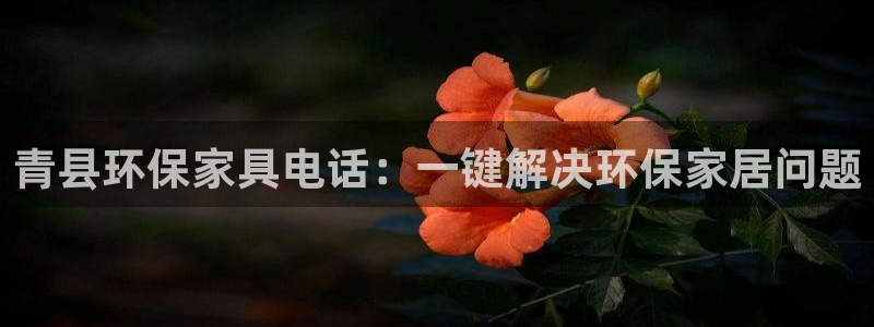 杏耀平台代理怎么赚钱快