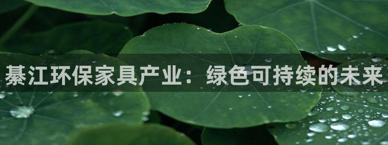 杏耀注册中心：綦江环保家具产业：绿色可持续的未来