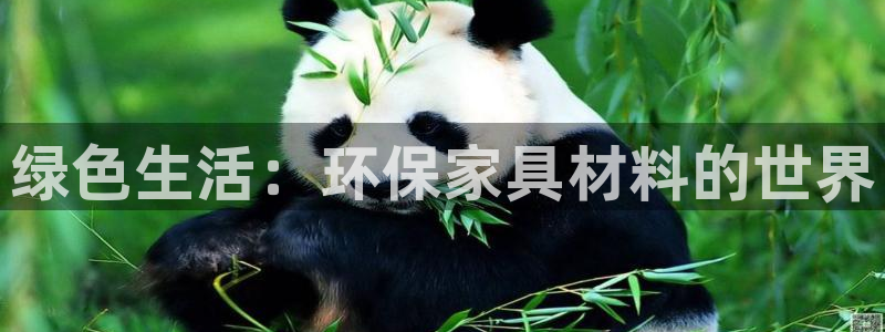 杏耀平台线路测试：绿色生活：环保家具材料的世界