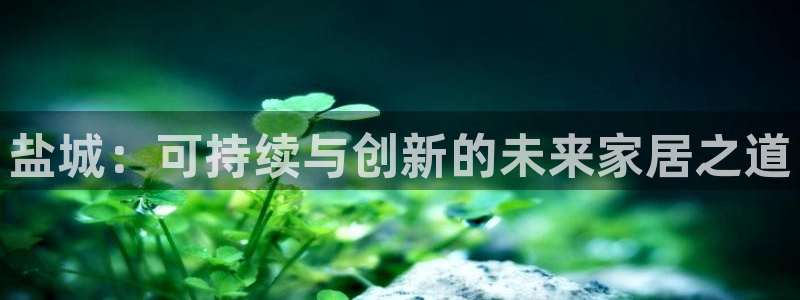 杏耀平台地址：盐城：可持续与创新的未来家居之道