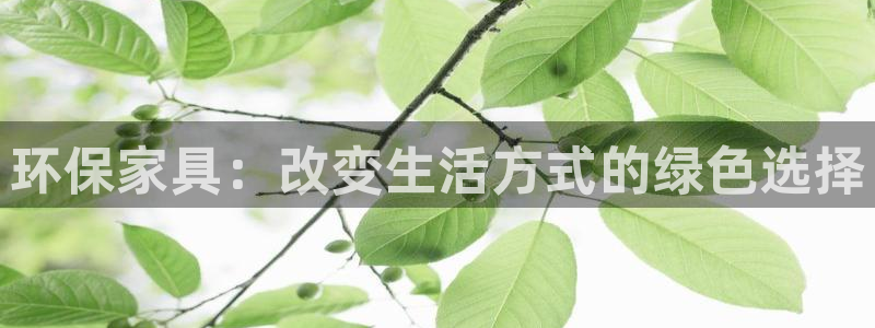 杏耀代理主管qq