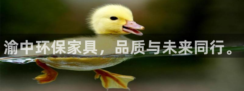 杏耀平台手机：渝中环保家具，品质与未来同行。