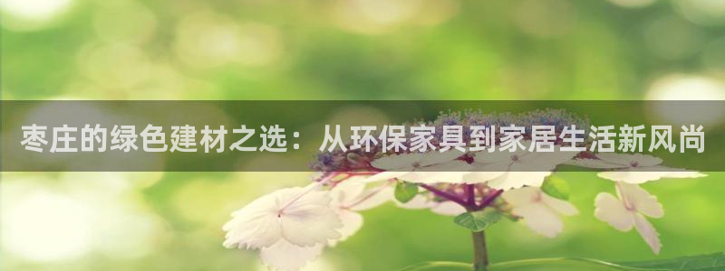 杏耀代理官网：枣庄的绿色建材之选：从环保家具到家居生活新风尚