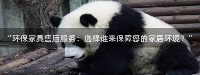杏耀软件：“环保家具售后服务：选择谁来保障您的家居环境？”
