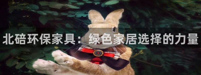 杏耀平台招商的流程：北碚环保家具：绿色家居选择的力量