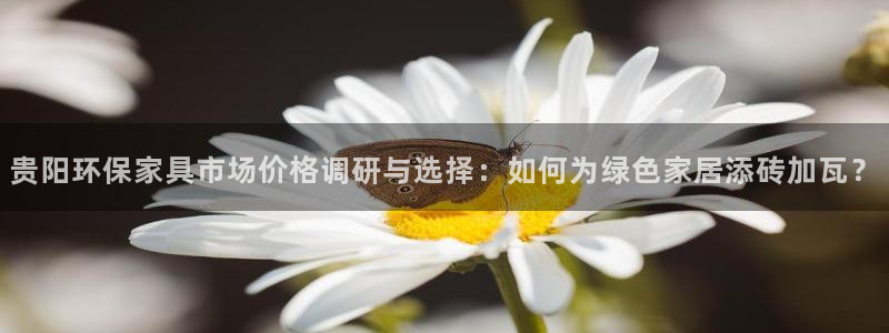 杏耀平台注册入口：贵阳环保家具市场价格调研与选择：如何为绿色