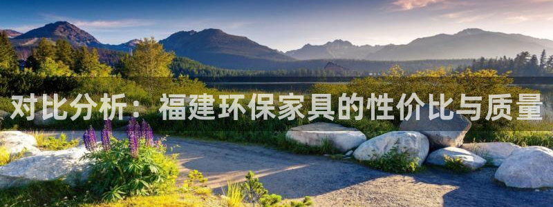 杏耀平台在哪里：对比分析：福建环保家具的性价比与质量