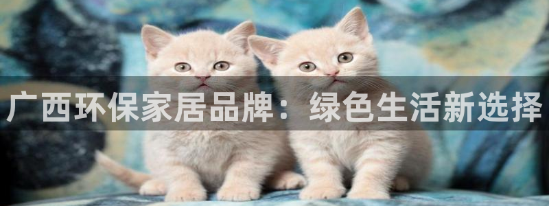 杏耀线路测速登录中心：广西环保家居品牌：绿色生活新选择