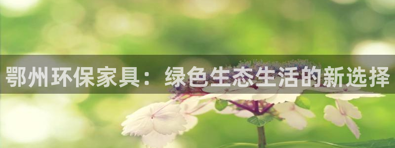 杏耀登陆网站：鄂州环保家具：绿色生态生活的新选择
