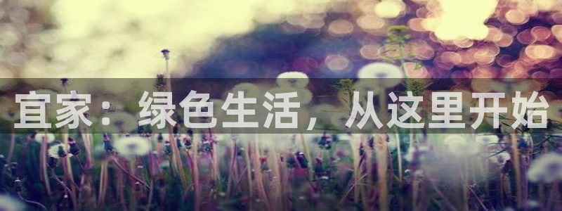 杏耀官网网站：宜家：绿色生活，从这里开始