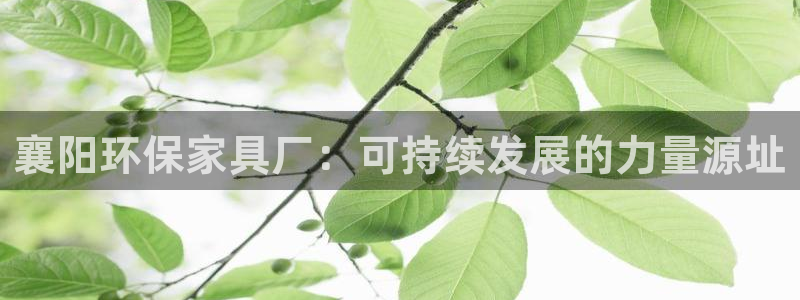 杏耀开户app下载：襄阳环保家具厂：可持续发展的力量源址