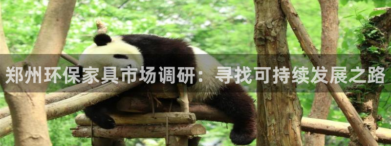 杏耀官网主管：郑州环保家具市场调研：寻找可持续发展之路