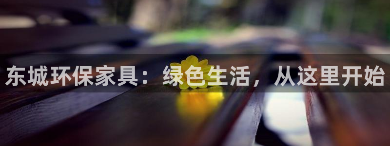 杏耀平台分红：东城环保家具：绿色生活，从这里开始