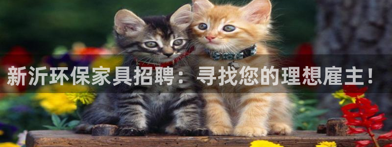 杏耀管网登录：新沂环保家具招聘：寻找您的理想雇主！