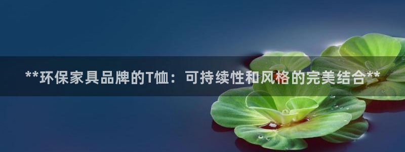 杏耀平台首页登录：**环保家具品牌的T恤：可持续性和风格的完