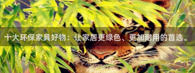 杏耀平台怎么注册：十大环保家具好物：让家居更绿色、更加耐用的