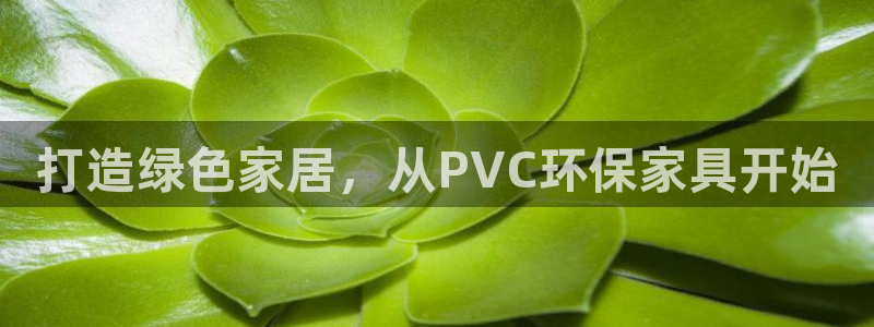 杏耀平台手机登录：打造绿色家居，从PVC环保家具开始