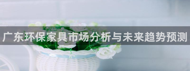 杏耀代理登录中心：广东环保家具市场分析与未来趋势预测