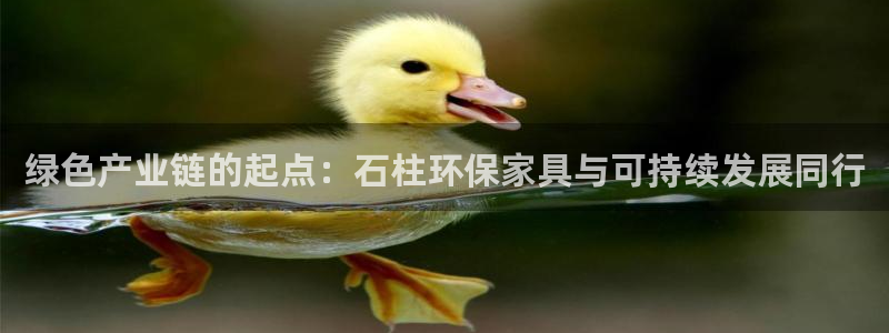 杏耀app怎样申请退款