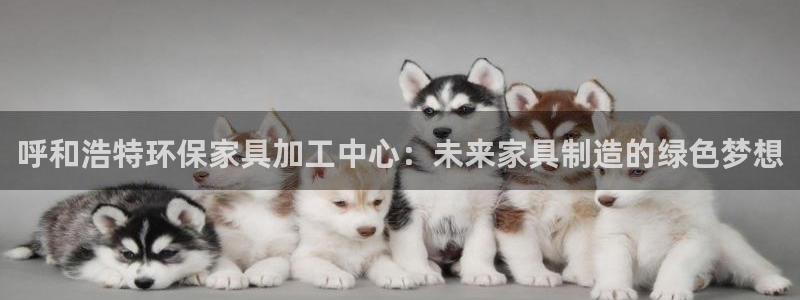 杏耀平台怎样：呼和浩特环保家具加工中心：未来家具制造的绿色梦