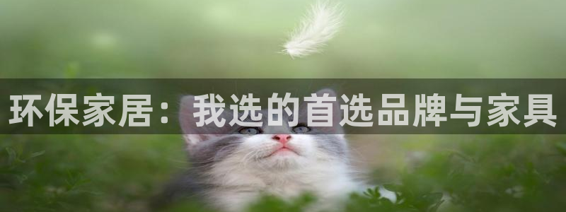 杏耀代理日工资多少：环保家居：我选的首选品牌与家具