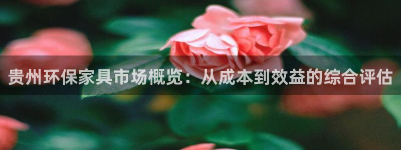 杏耀注册登陆：贵州环保家具市场概览：从成本到效益的综合评估