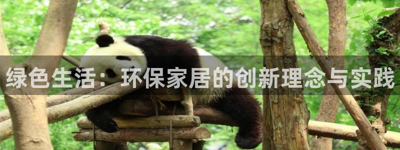 杏耀手机客户端：绿色生活：环保家居的创新理念与实践